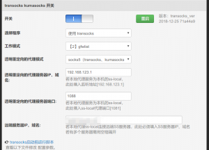 Padavan配置v2ray